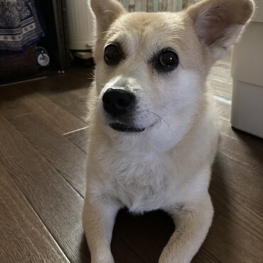 の写真