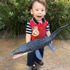 ひなたかなた
