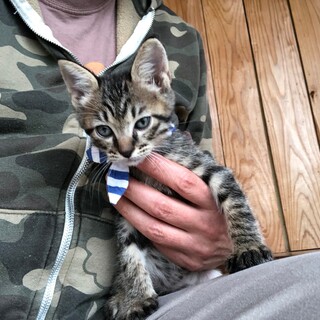 ありがとうございます