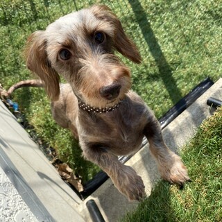 ☆うるい☆里親さま決定☆