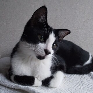 甘えん坊のダン君