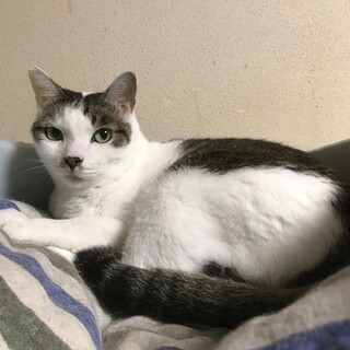 ハンディ♪ポン君♪