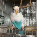 ありがとうございました。