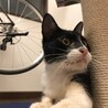 らんまるのママ