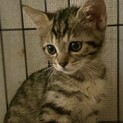 10/3Terra里親会に参加❣️