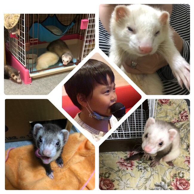 yuuchaaanのカバー写真