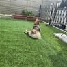 庭にて