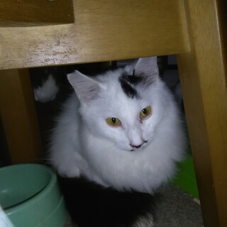 元気な男の子・甘えん坊な性格