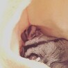 子どもが産まれたての時の親子です！