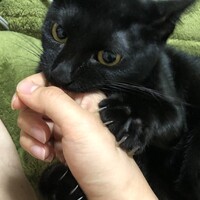 るぅ