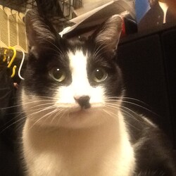 9回目のフロントライン