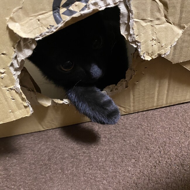 uu.323のカバー写真