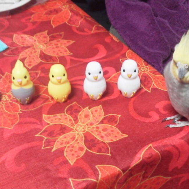 踊る柔道整復師のカバー写真