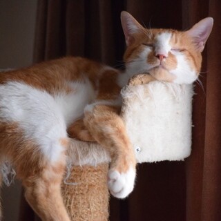 はまちはね、王子って呼ばれてるんだ