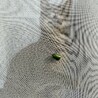 ムシだー！！