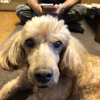 良いご縁につながりました。