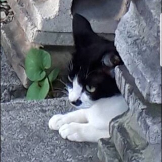 居場所がなくなりました…