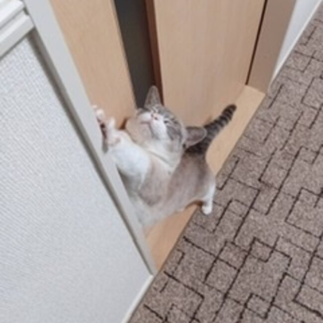 マサタカマサのカバー写真