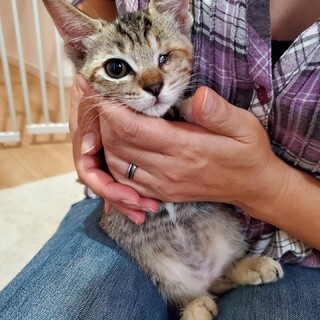 目にハンディのある 女の子