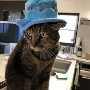 お誕生日の帽子を被って