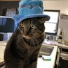 お誕生日の帽子を被って