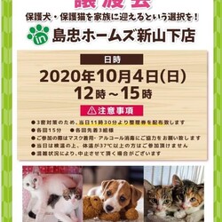 保護犬 保護猫 譲渡会inホームズ新山下店