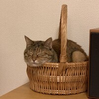 きろく