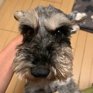 甘えたさんで可愛い女の子♪