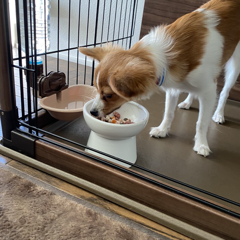 蘭馬のカバー写真