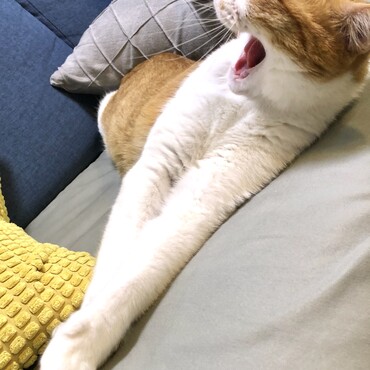 ベルの写真