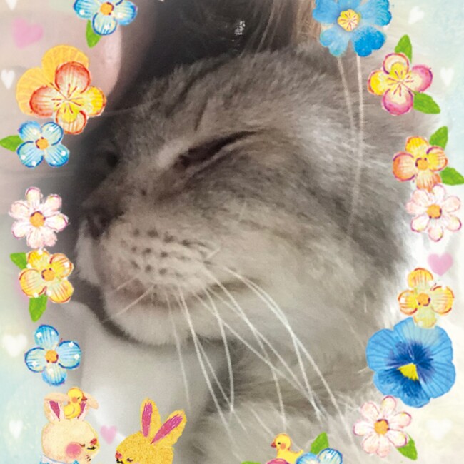 a_tresoroのカバー写真