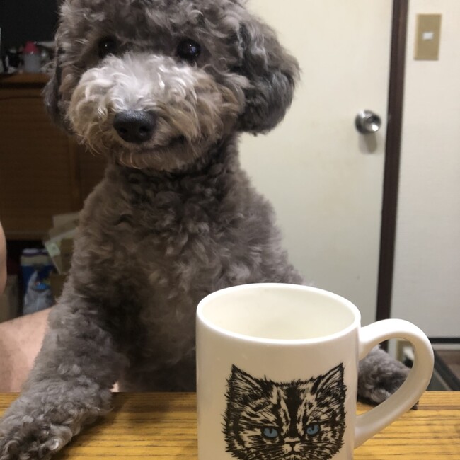 miyuna0907のカバー写真