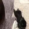 寝相真似っこうさぎ