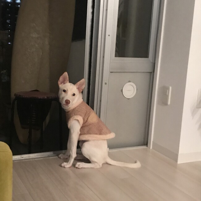キムテフンのカバー写真
