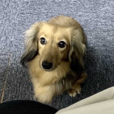 の写真