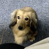 の写真