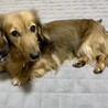 の写真