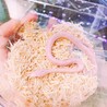 キングスネーク