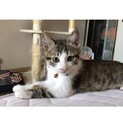 イケニャン４ヶ月男の子♪