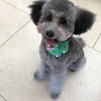 RIKU