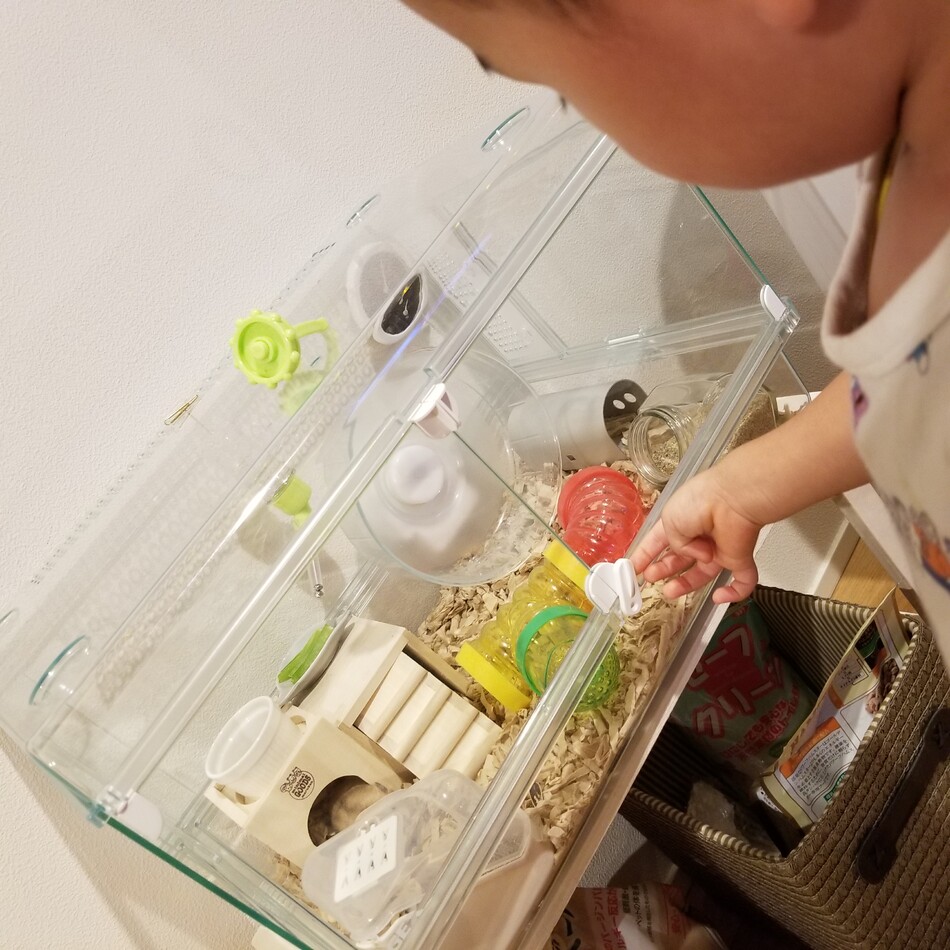 めんまのカバー写真