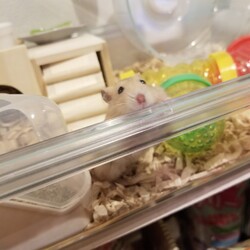 「新しいおうちにも慣れてきました♪」サムネイル2