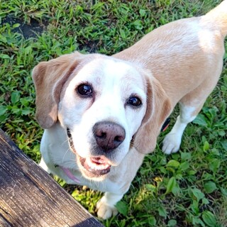 素敵な家族ができました、ありがとうございました♪