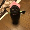 rurukuro