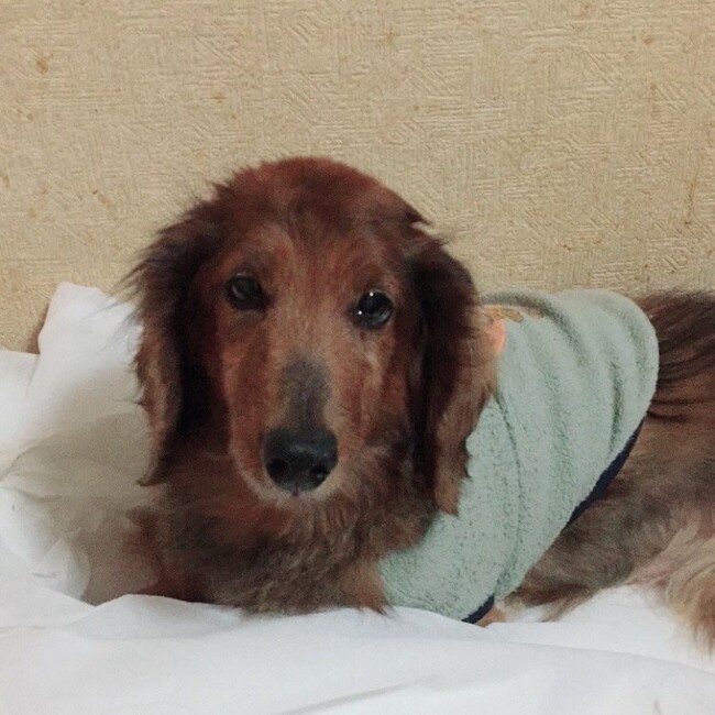 NATSUMI.TAKAHASHIのカバー写真