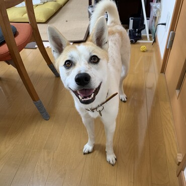 お母さんにお菓子をおねだりしています