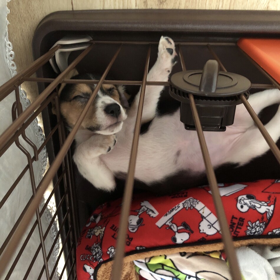 メイのカバー写真