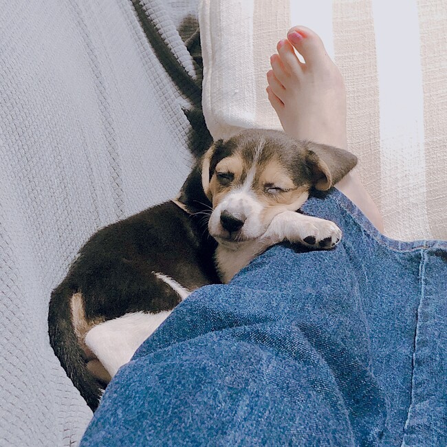 メイ0718のカバー写真