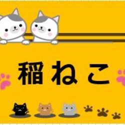 稲ねこ　保護猫譲渡会　開催です！ サムネイル2