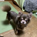 みやま）遊ぶの大好き♪フレンドリーな女の子❤